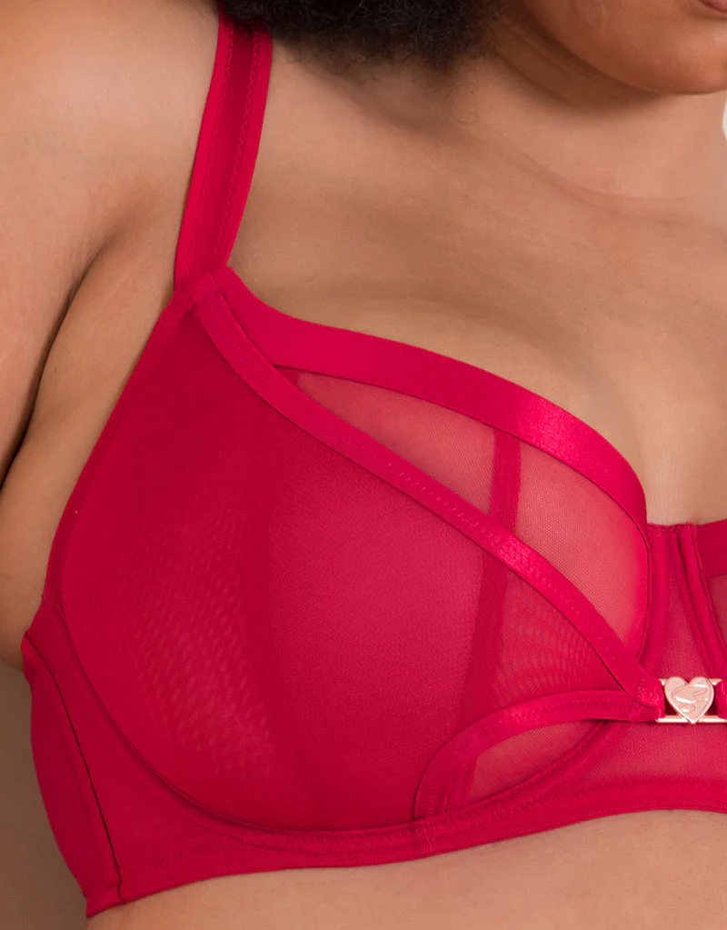 Scantilly Loved Up Balcony Bra Crimson - Image 4
