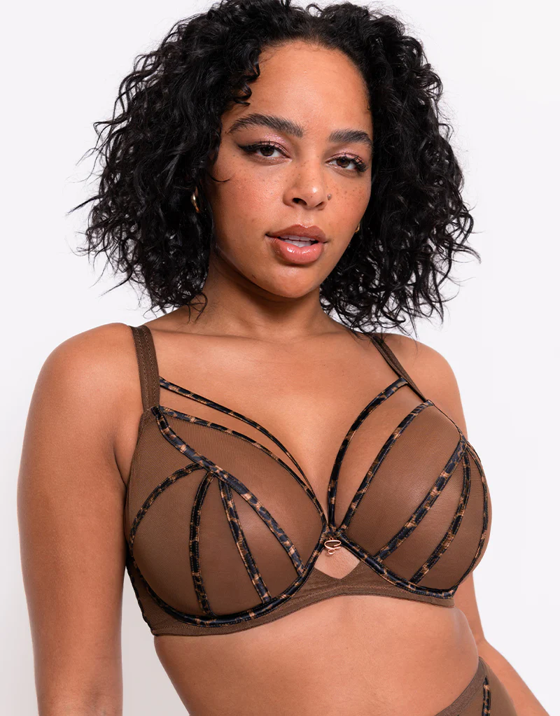 Scantilly Senses Plunge Bra Leopard Brown - Image 4